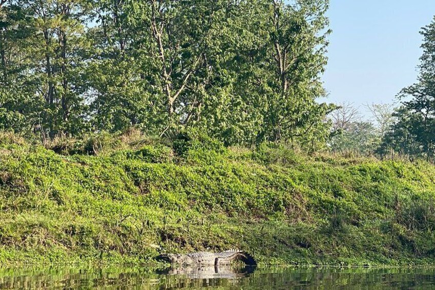 1 Night 2 Days Chitwan Jungle Safari Tour