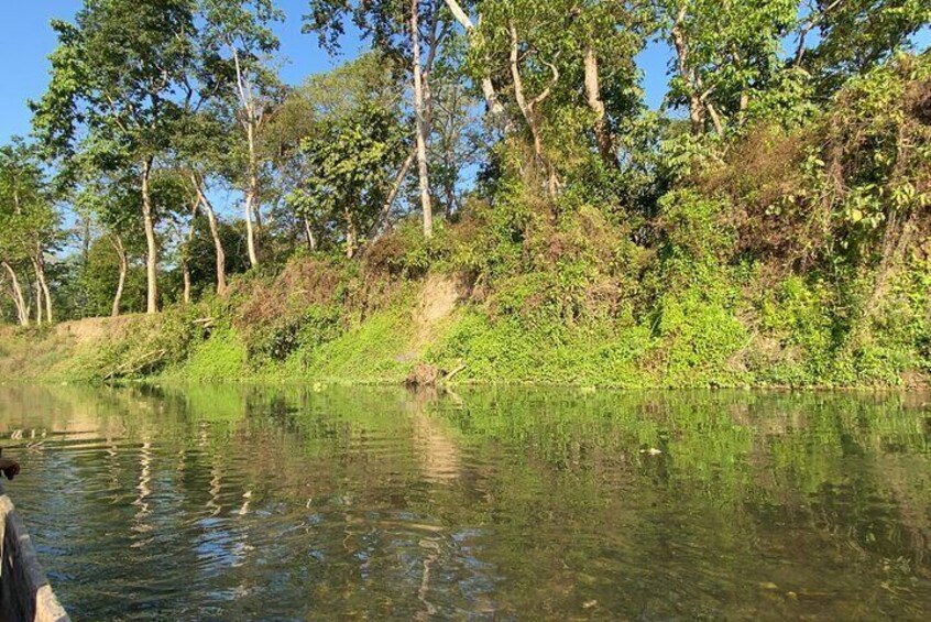 1 Night 2 Days Chitwan Jungle Safari Tour