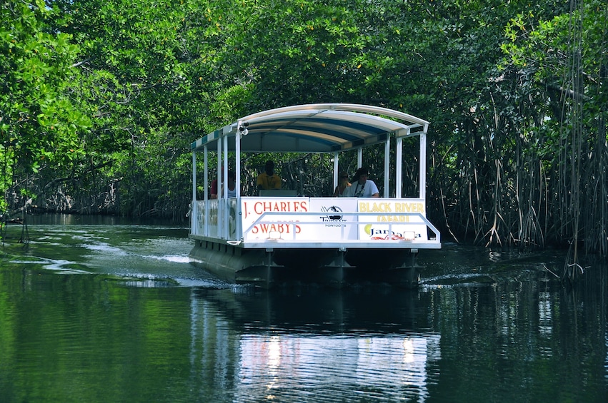 Private Day-Trip to YS Falls and Black River Safari Combo