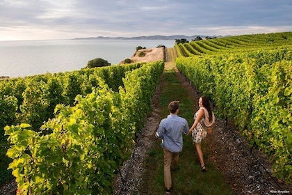 Full-Day Taste the Wines of Marlborough Tour