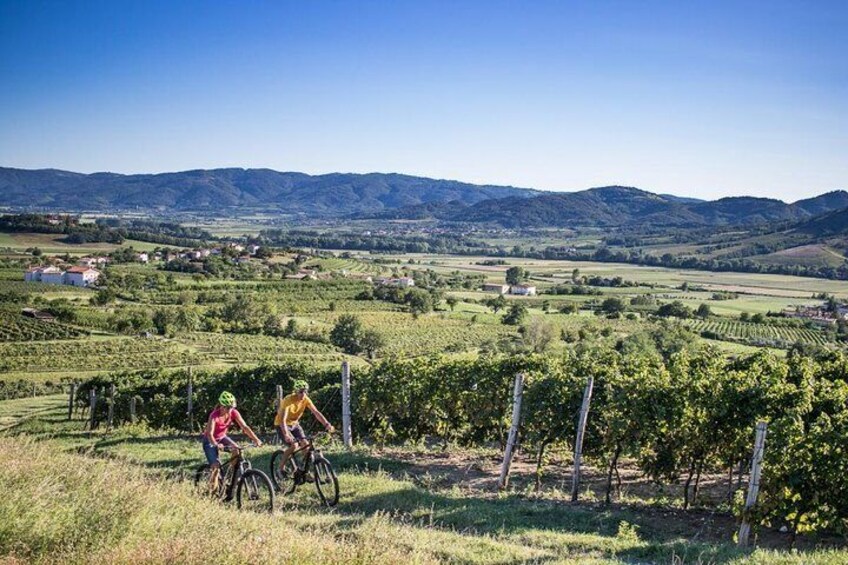 Ride the E-bikes through amazing Vipava Valley landscape!