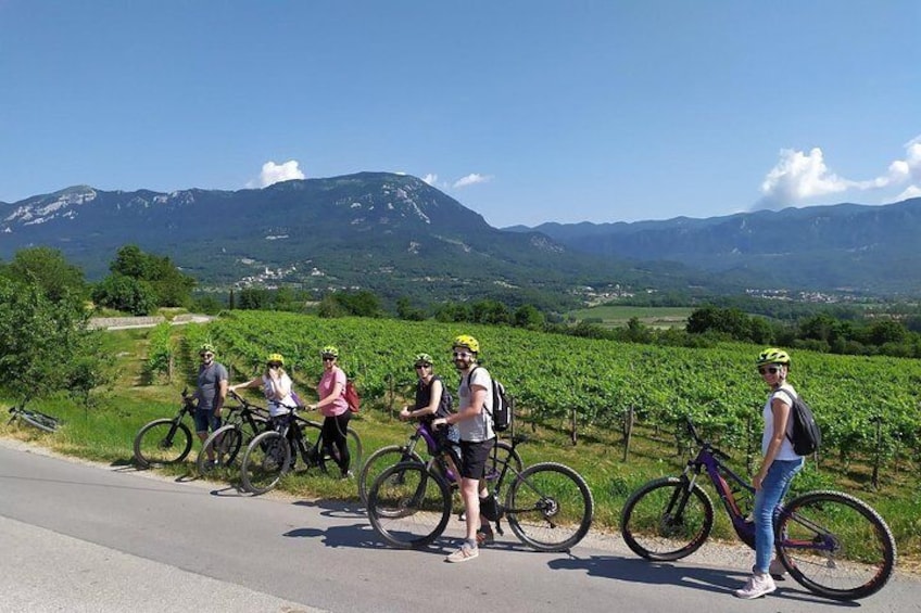You`ll see a lot of this during a Secret Wine E-bike tour of the Vipava Valley!