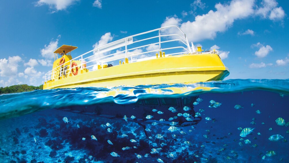 cancun glass bottom boat