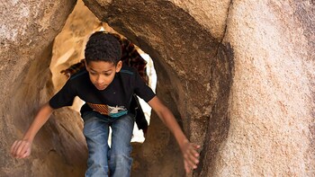 Small-Group Tour of Joshua Tree National Park