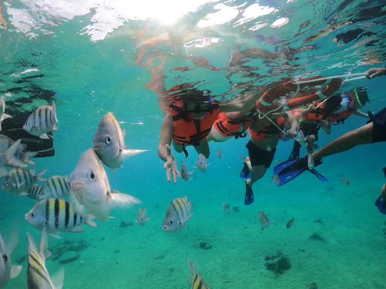 Cozumel-Clear Boat Experience