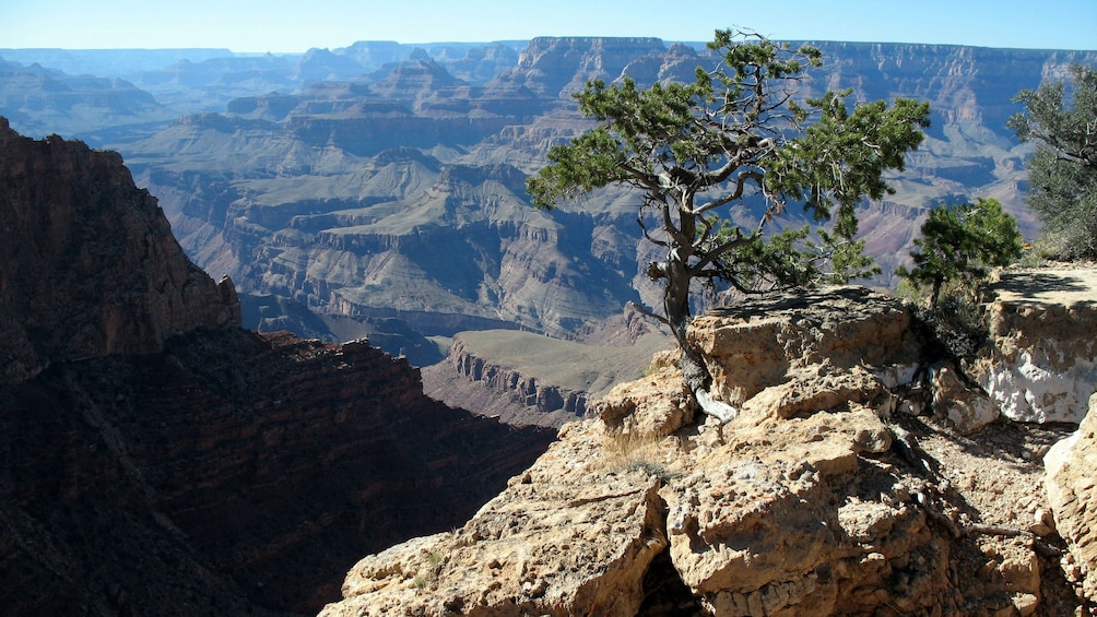 Aerial view of the Grand Canyon