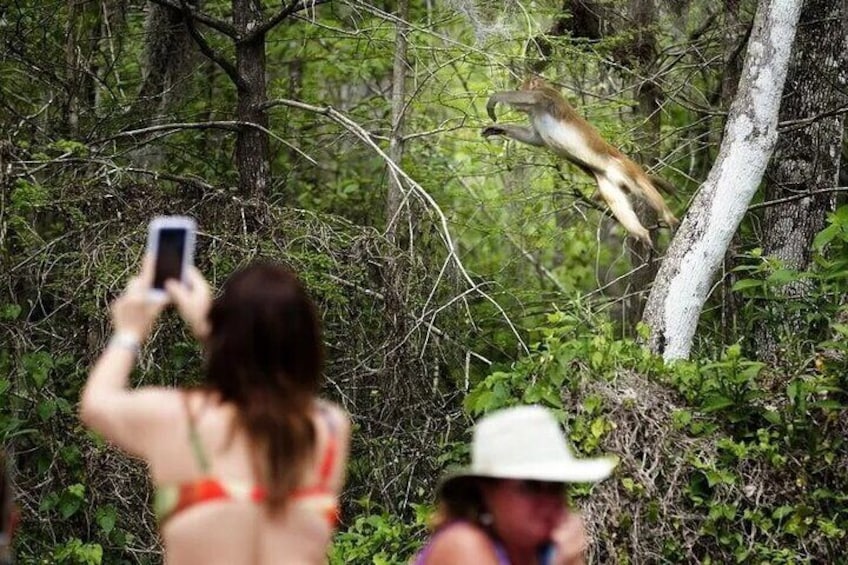 Snap the wildlife in action!