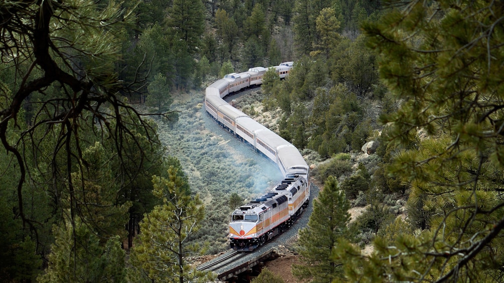 Through the trees is a train snaking its way through the mountain