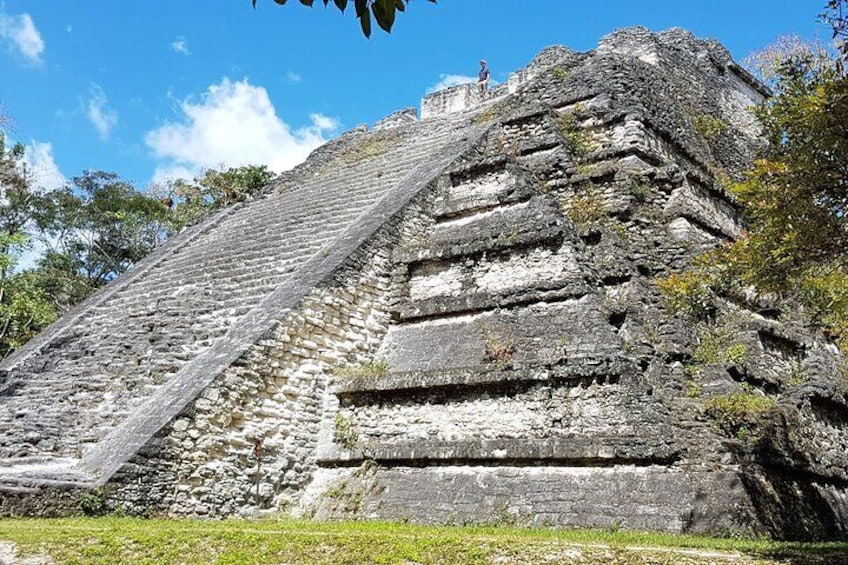 Tikal Collective Tour from Flores - Airport - All Inclusive.