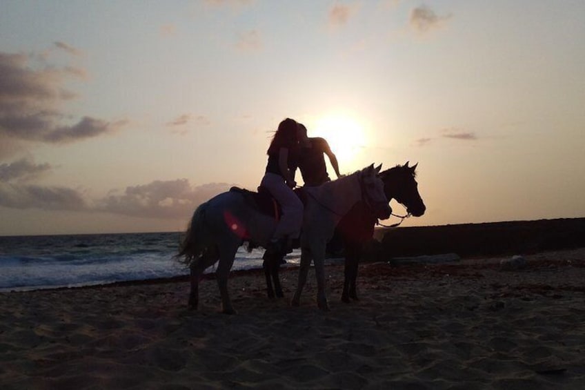 Private Beach & Arikok National Park Horseback Riding