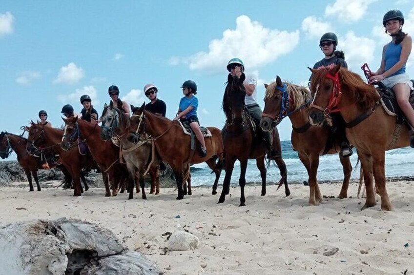 Aruba Horseback Riding: Trails in Protected Areas & Urirama Beach