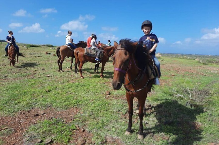 Aruba Horseback Beach & National Park ride