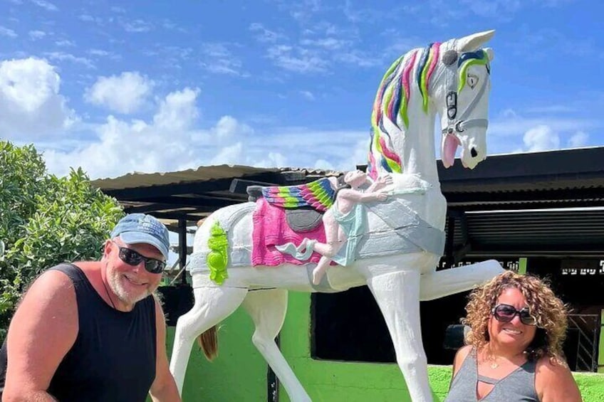 Aruba Ecological and Beach Horseback Ride