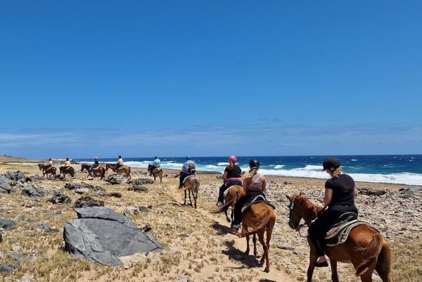 Aruba Horseback Beach & National Park ride