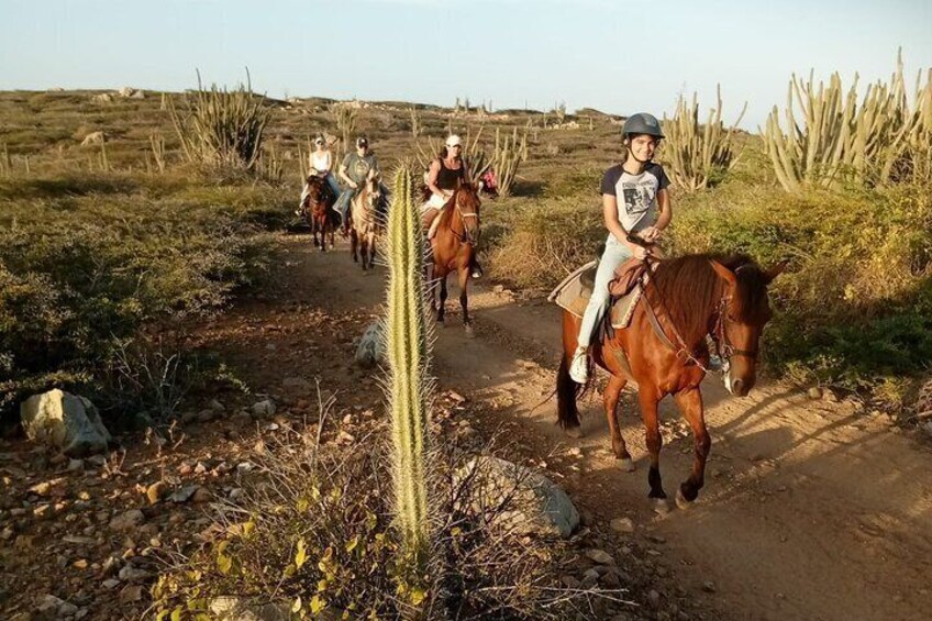 Aruba Horseback Riding: Trails in Protected Areas & Urirama Beach