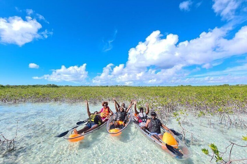 Mangrove Clear Kayak Tour