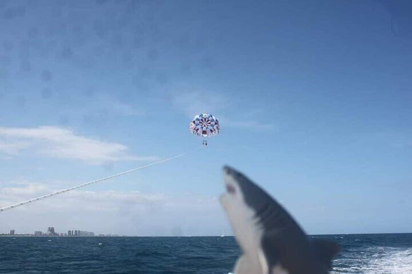 90-Minute Parasailing Adventure in Fort Lauderdale