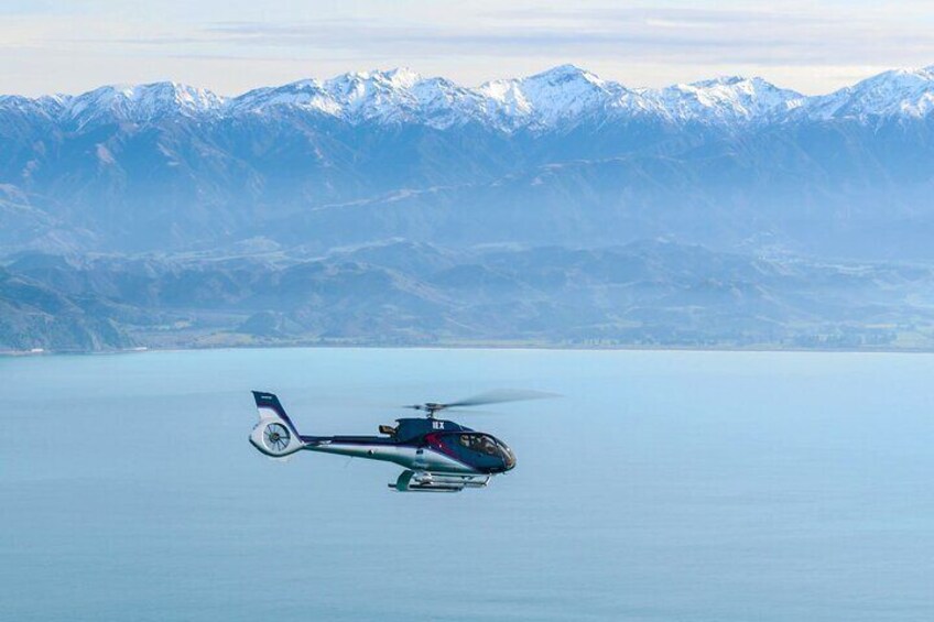 View the unique and rugged Kaikoura Coastline as you fly through back to shore. From the sea to the towering peaks of the Kaikoura Seaward Ranges
Kaikoura Helicopters whale watching, New Zealand.
