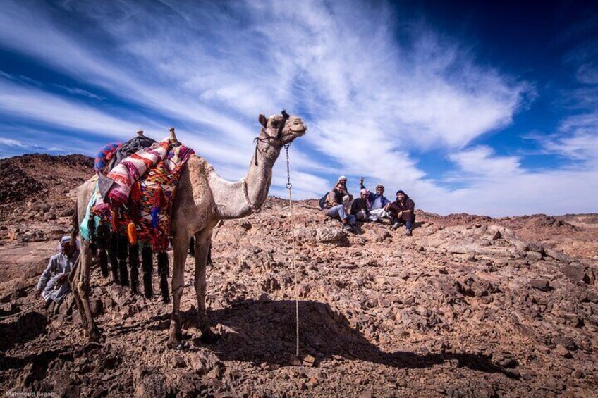 3-Day Expedition in the Sinai Desert Climb Seek and Find