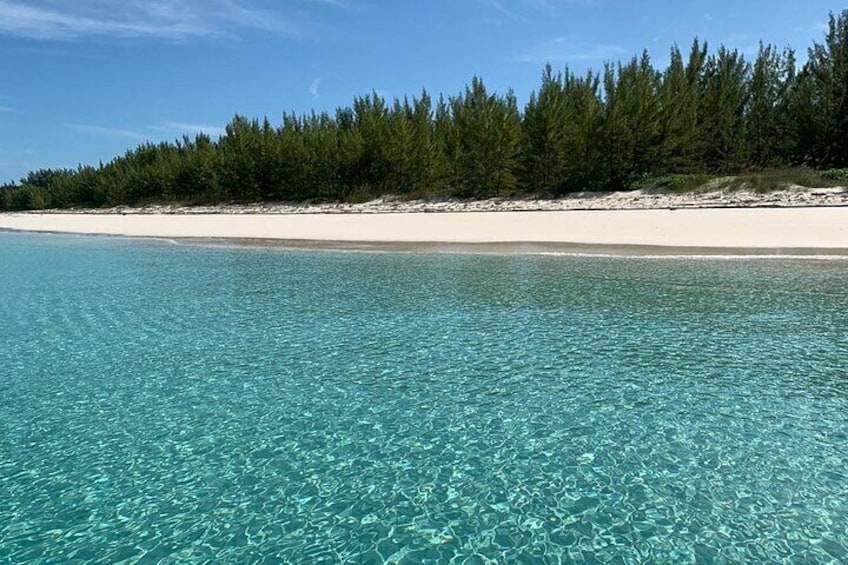 Snorkel with Turtles, Rose Island, Gilligan's Island and Fishing Tour