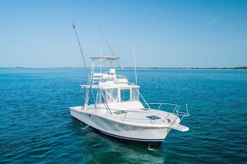 Snorkel with Turtles, Rose Island, Gilligan's Island and Fishing Tour