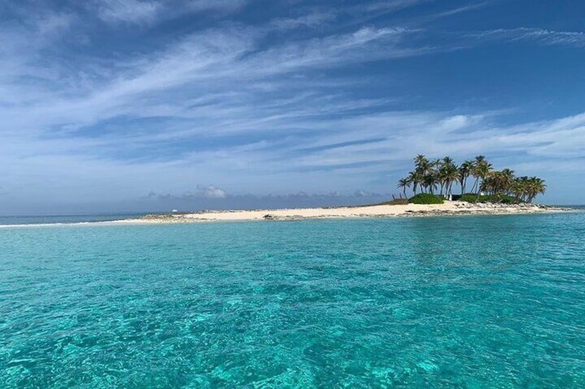 Snorkel with Turtles, Rose Island, Gilligan's Island and Fishing Tour