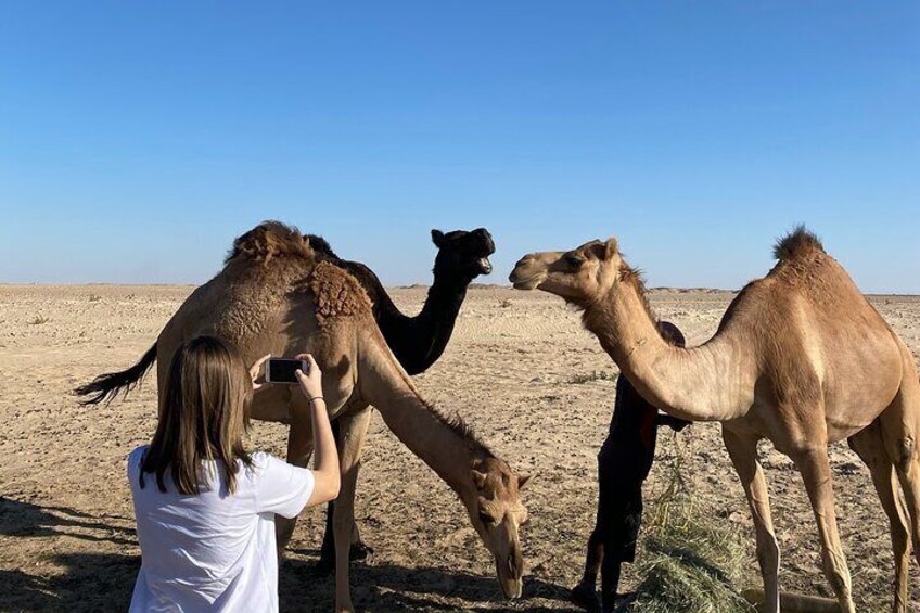 2-Day Private Overnight Desert Experience in Bedouin Tent