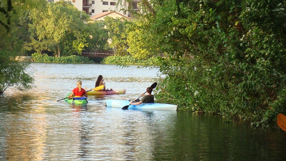 Group of kayakers paddling across river.