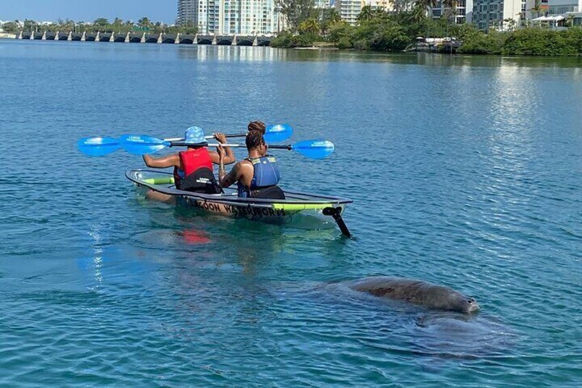 Morning Kayak Tour in Condado Lagoon