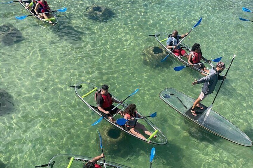 Morning Kayak Tour in Condado Lagoon