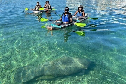 Morning Kayak Tour in Condado Lagoon