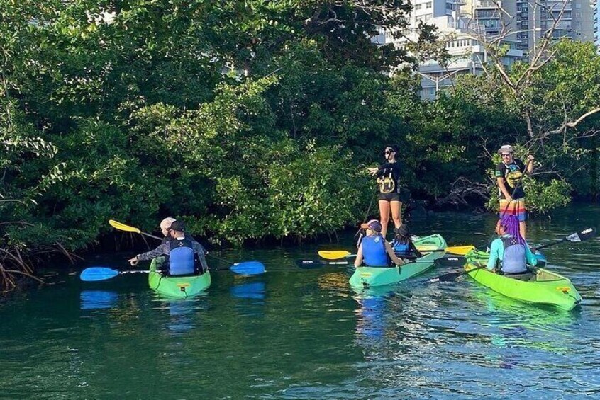 Morning Kayak Tour in Condado Lagoon