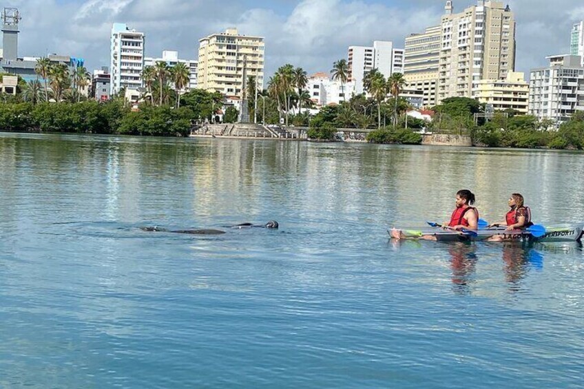 Morning Kayak Tour in Condado Lagoon