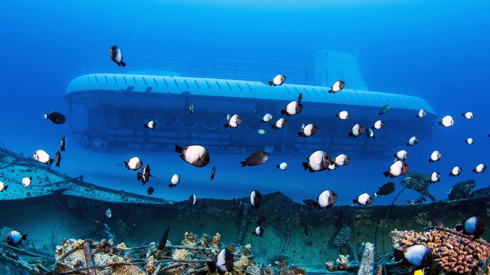 Kona Underwater Submarine Adventure
