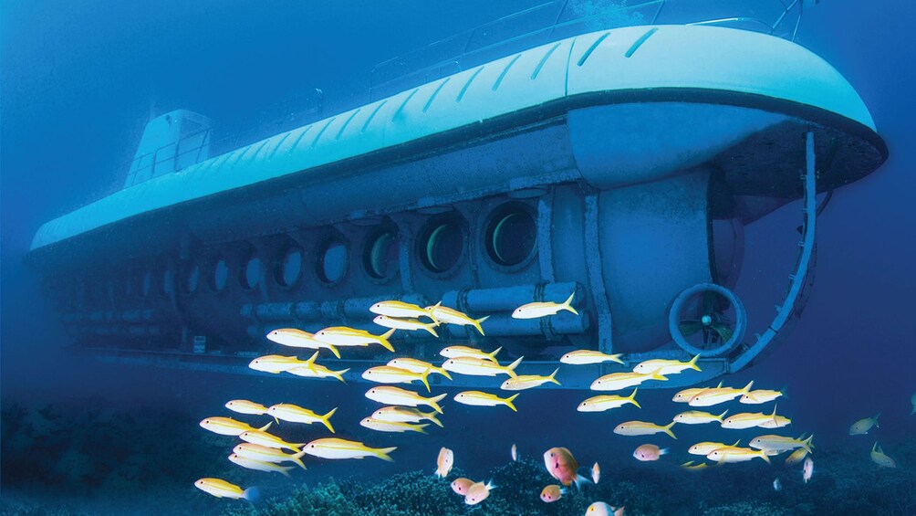 Kona Underwater Submarine Adventure