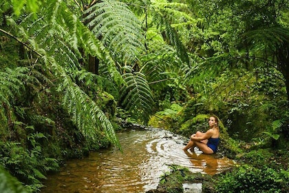 Private Tour: Sete Cidades, Lagoa do Fogo, Pineapple Plantation