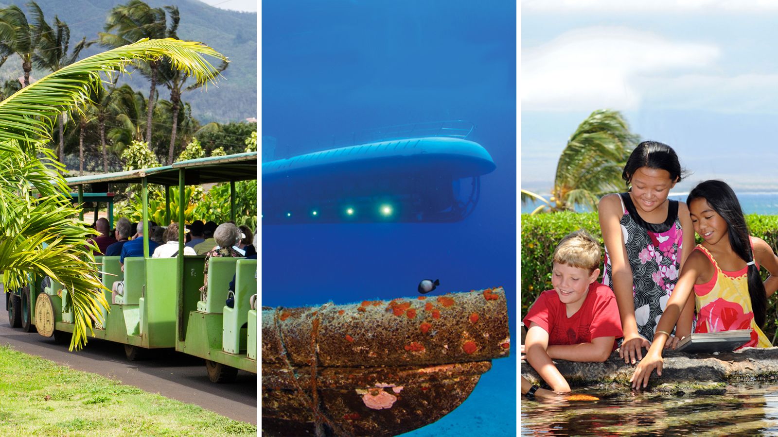 maui submarine tour price maui submarine tour price