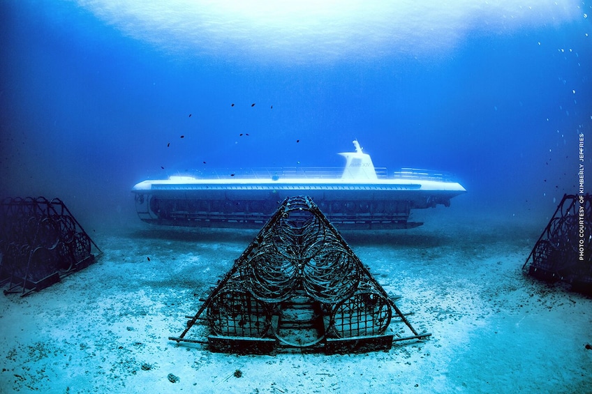 Atlantis XIV Premium Submarine Adventure 