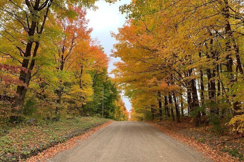 Experience beautiful fall colors in our Caledon fall day tour and walk on billions of colorful leaves- Refreshing and Rejuvenating 