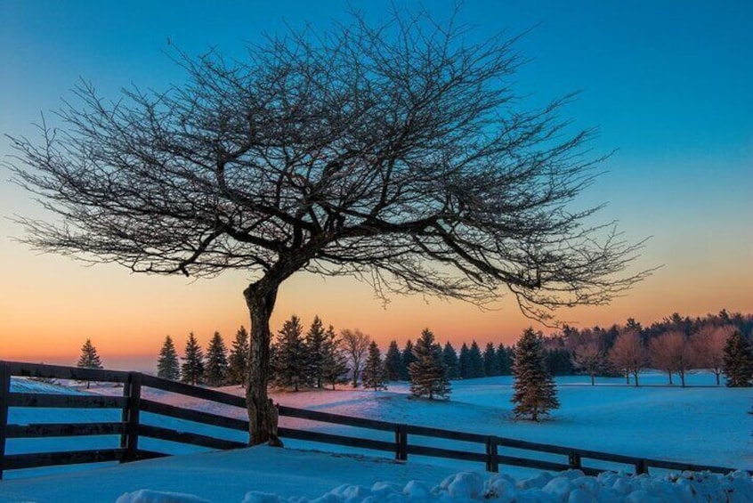 Now this can drive away winter blues - Beautiful Winter Sunset in Our year-round Caledon tour