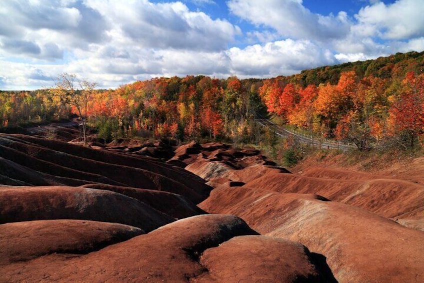 Stress vanishes Badlands- you feel dwarfed by 200 million years of history - covered year-round in our Excellent Caledon Day Tour