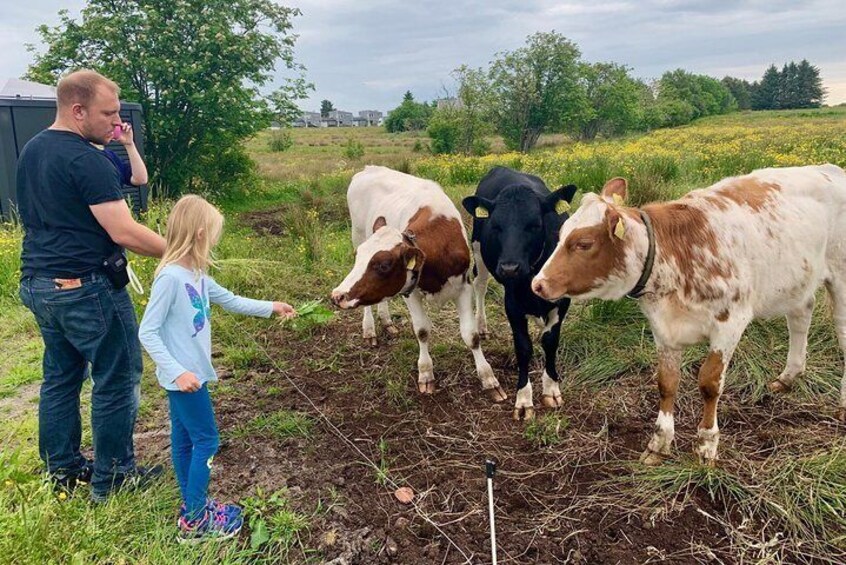 Feeding animal - fun for kids and adults.