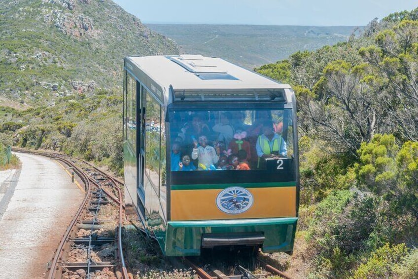 Sea Kayak and Cape Point Private Tour from Cape Town