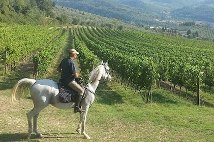 Horseback ride and Tuscan Lunch (or Dinner)