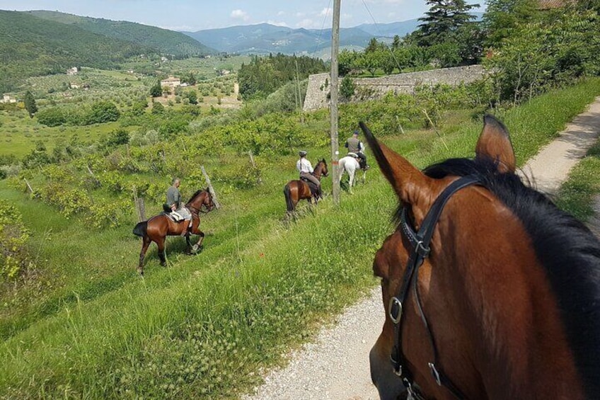 Horseback ride and Tuscan Lunch 