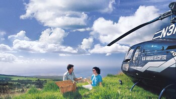 Maui Spectacular Helicopter Tour with Landing