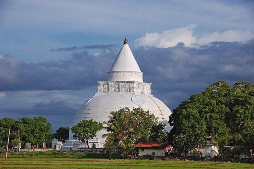 Sri Lanka Privet Tour/8 days with driver+vehicle+accommodation H/B basis