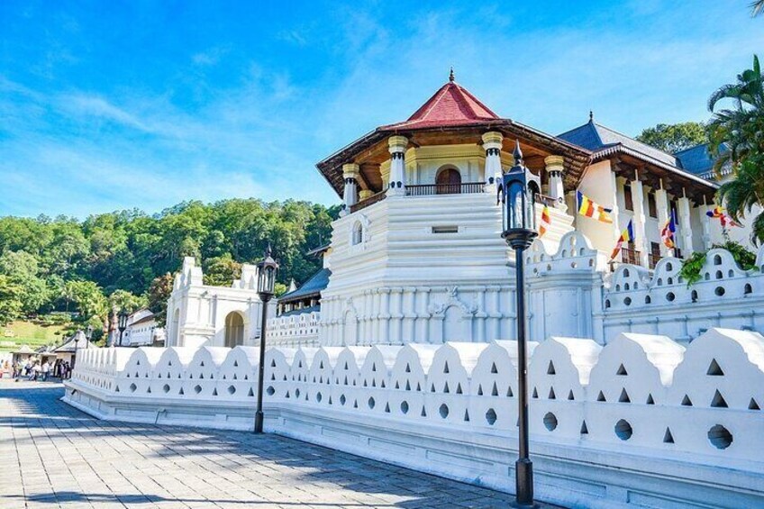 Sri Lanka Privet Round Tour/12 days with driver+vehicle+accommodation H/B Basis