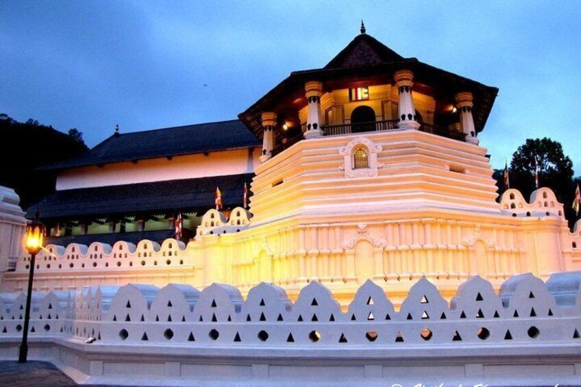 SriLanka Cultural Tour/6 days+Friendly driver+vehicle+accommodation H/B basis