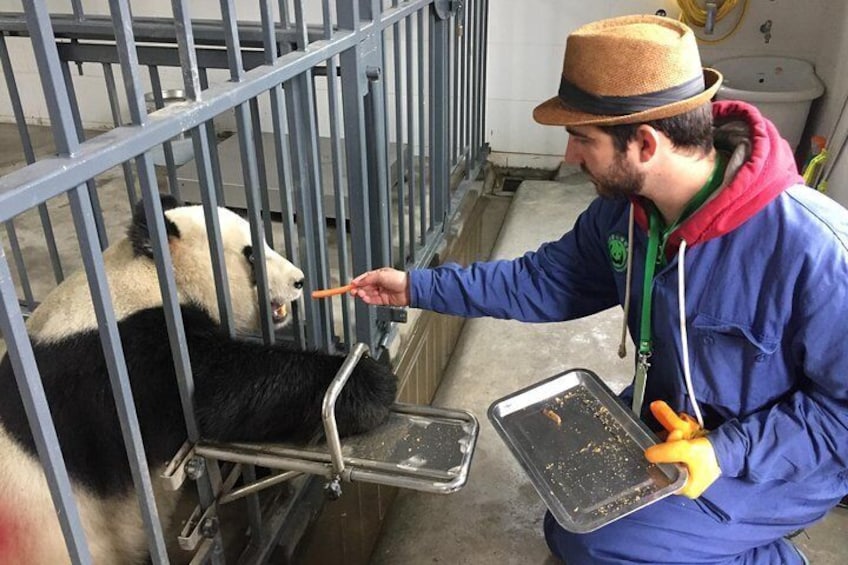 Feeding the Giant Panda at Wolong Panda Base